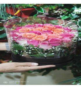 Kutuda Şeffaf Pembe Gül 20 Adet